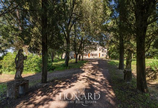 Prestižinis turtas su alyvuogių giraite parduodamas San Miniato mieste Image 6