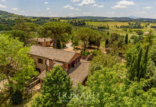 Vila de luxo panorâmica com vinha e olival no coração da Toscana Image 1