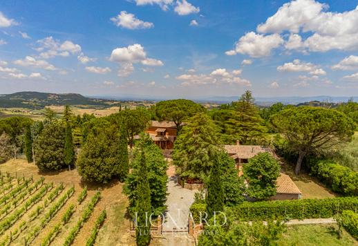 Lussuosa villa panoramica con vigneto e oliveto nel cuore della Toscana Image 3