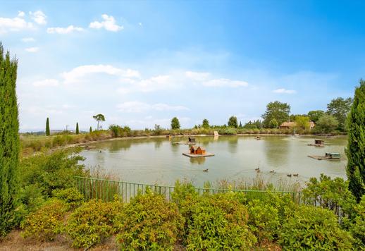 Complejo de agroturismo con viñedos y olivar en el corazón de una característica aldea en el Chianti florentino Image 8