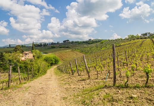 Agricultural company with resort for sale in one of the areas that encapsulates the essence of Tuscany Image 9