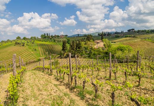 Agricultural company with resort for sale in one of the areas that encapsulates the essence of Tuscany Image 8