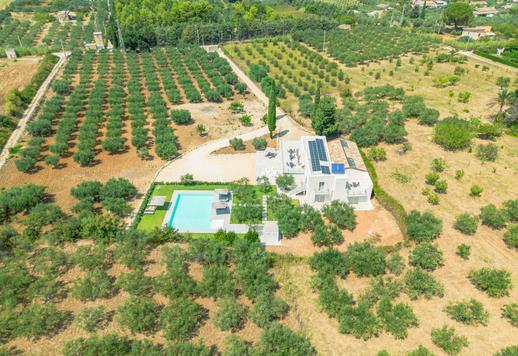 Villa moderne de luxe au milieu d'une oliveraie séculaire à vendre sur le Golfe de Castellammare Image 4