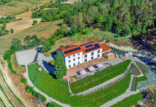 Eladó egy 1,7 hektáros magánparkkal körülvett birtok szőlővel, gyümölcsössel és erdővel Image 6