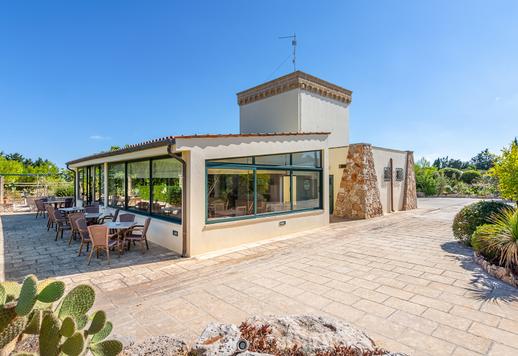 Charmante ferme avec exploitation agricole à vendre dans les Pouilles Image 8