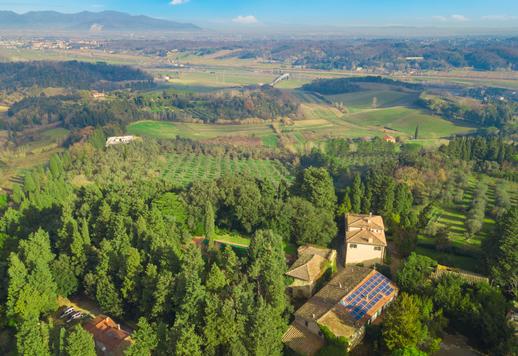 Anwesen aus dem 19. Jahrhundert mit Olivenhainen und Pool in der Landschaft von Livorno in der Nähe der toskanischen Strände Image 5