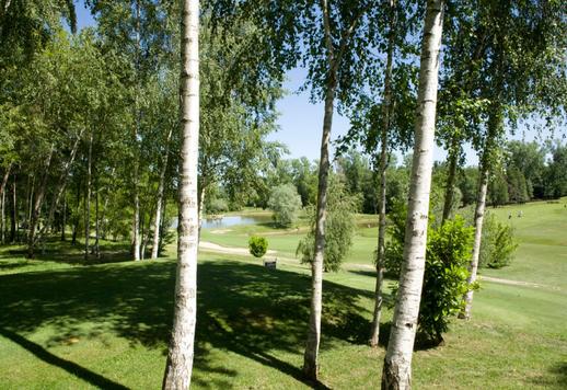 Immense installation de golf à vendre avec terrain d'entraînement pour le jeu court et le jeu long Image 7