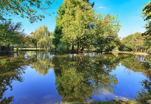 Carpi'de satılık büyük özel park ve göle sahip muhteşem mülk Image 9