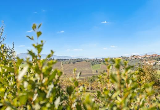 500 m²-es működő parasztház 6 apartmannal Empolese Valdelsa dombjai között Image 7