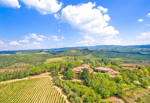 Szőlőgazdaság - Chianti gazdaság Image 1