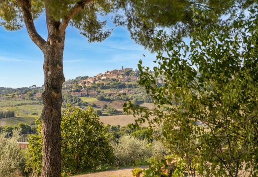مسكن توسكاني مع ملحق وحمام سباحة وتراس بانورامي في تلال بيزا Image 9
