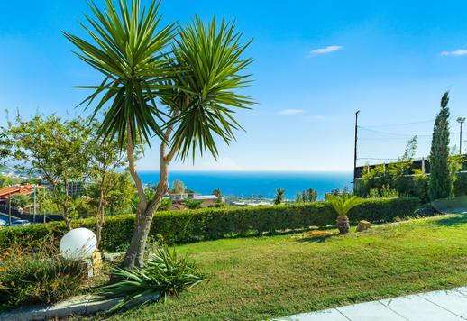 Moradia exclusiva com jardim tropical e piscina à venda na Riviera dei Fiori, na Ligúria Image 5