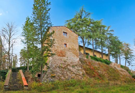 Sienoje parduodama istorinė žemės ūkio bendrovė su pagrindine vila ir vyno bei ypač tyro alyvuogių aliejaus gamyba. Image 6