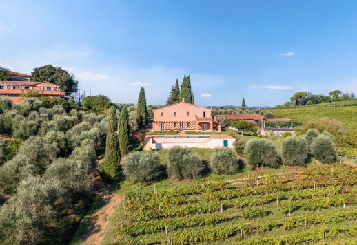 Azienda agricola biologica con 24 ettari e cantina in vendita nelle colline di Pisa Image 3