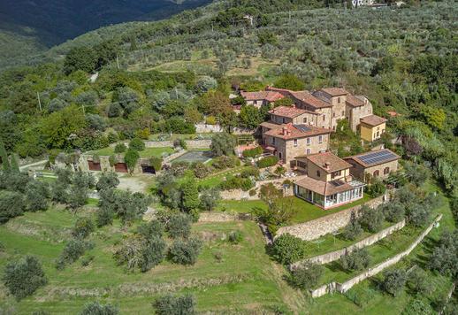 Merveilleuse propriété avec oliveraie et piscine dan la verdure en vente à Arezzo Image 6