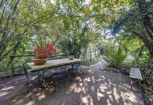 Charming estate with forest, olive grove and panoramic pool for sale on the outskirts of Pisa Image 7