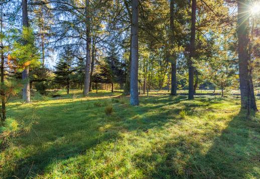 Residenza di lusso di Piero Portaluppi con 200 ettari di parco e campo da calcio in vendita a Varese Image 4