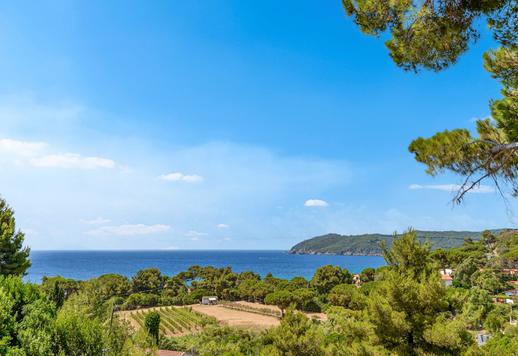 Dviguba Provanso stiliaus rezidencija su vieno hektaro privačiu parku Toskanos salyne Image 2