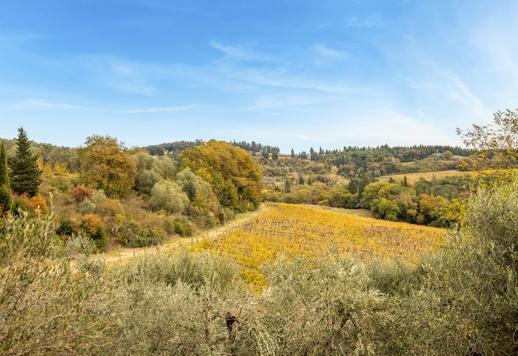 600 kvm rustikk villa på 5 hektar land blant vinmarker og olivenlunder i Montespertoli Image 6