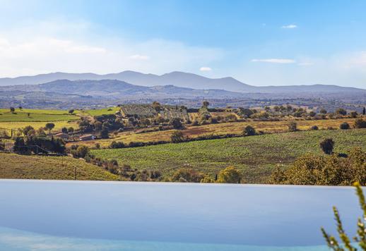 Luksusowy dom wiejski na 43 hektarach certyfikowanej ziemi ekologicznej z aneksem, gajem oliwnym i klasą energetyczną A4 Image 7