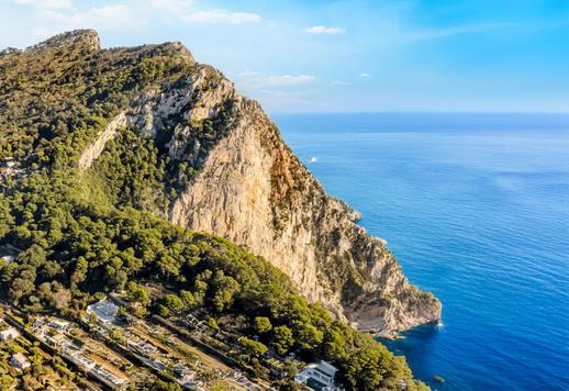 Элегантная вилла в 480 кв.м. с флигелем, террасой с видом на море, лесом и частным садом. Image 1