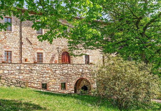 Antigua finca agrícola de unos 1.700 m² distribuida en tres edificios independientes, situada en un terreno de 23 hectáreas que incluye un olivar de 659 árboles y un viñedo en producción de Merlot y Sangiovese Image 6