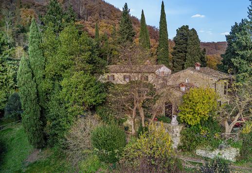 13th-century estate with vast olive grove and pool Image 3