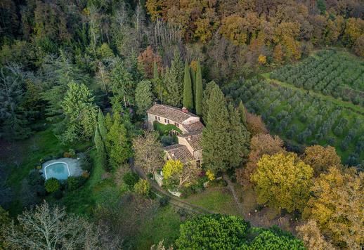 13th-century estate with vast olive grove and pool Image 2