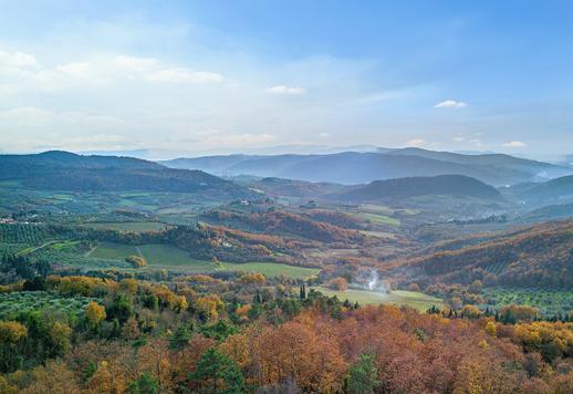 13th-century estate with vast olive grove and pool Image 5
