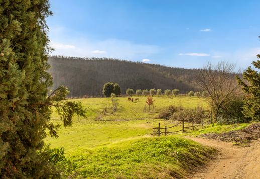 Adliges Anwesen aus dem 17. Jahrhundert mit ca. 2.000 m², bestehend aus Herrenhaus, Landhäusern, Privatkapelle, Weinkeller und Pool, eingebettet in fünf Hektar Land mit jahrhundertealtem Olivenhain zwischen Castellina in Chianti und Radda in Chianti. Image 4