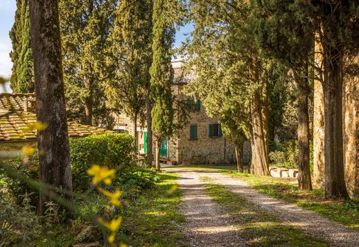 Adliges Anwesen aus dem 17. Jahrhundert mit ca. 2.000 m², bestehend aus Herrenhaus, Landhäusern, Privatkapelle, Weinkeller und Pool, eingebettet in fünf Hektar Land mit jahrhundertealtem Olivenhain zwischen Castellina in Chianti und Radda in Chianti. Image 6