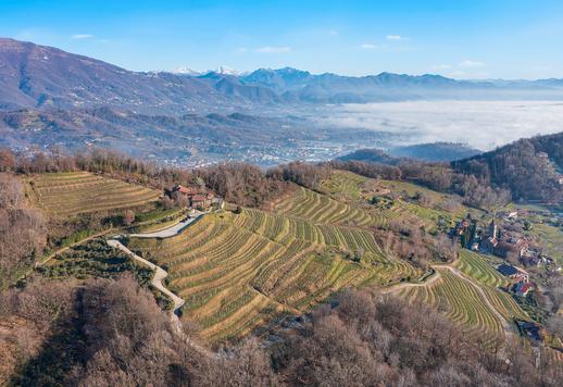 Esclusiva struttura agrituristica circondata da 10 ettari di proprietà tra vigneti storici, oliveto e bosco naturale. Image 2