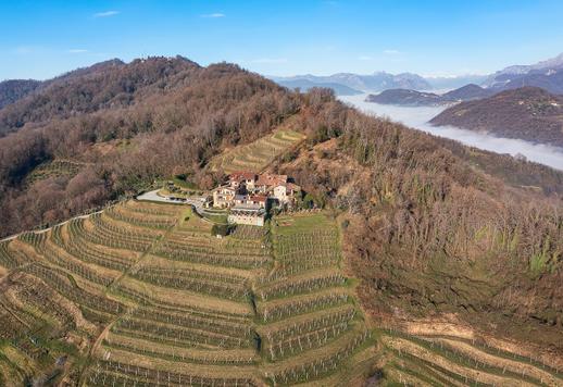 Esclusiva struttura agrituristica circondata da 10 ettari di proprietà tra vigneti storici, oliveto e bosco naturale. Image 3