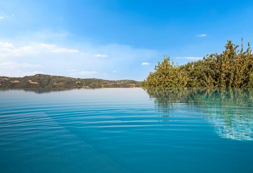 Tre corpi abitativi indipendenti per circa 1000 mq complessivi e sette ettari tra giardino mediterraneo, bosco e terreni con vigneto in produzione da 15.000 bottiglie  Image 4