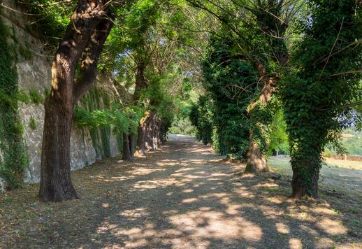 Proprietà di origini medioevali sviluppata su 5.500 mq tra corpo principale affiancato da raffinata villa in stile Liberty ed edifici rustici polifunzionali Image 9