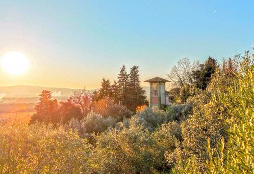 Residenza di circa 991 mq su quattro livelli con sei camere, sei bagni, piscina, dependance, rooftop e garage triplo in parco privato con oliveto di circa 8.000 mq Image 3