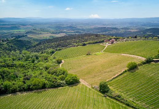 عقار بمساحة 500 متر مربع، يضم الفيلا الرئيسية وشقتين مستقلتين، يقع على مساحة 20 هكتارًا من الأرض في موقع مرتفع بين كاستيلينا إن كيانتي وسان جيمينيانو Image 4