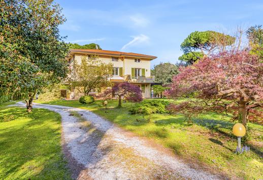 665 négyzetméteres, különálló ház 3000 négyzetméteres privát kerttel, magnóliákkal, japán juharokkal, ősi rózsákkal és tengerparti fenyőkkel, 400 méterre a tengertől és néhány percre Forte dei Marmitól. Image 9