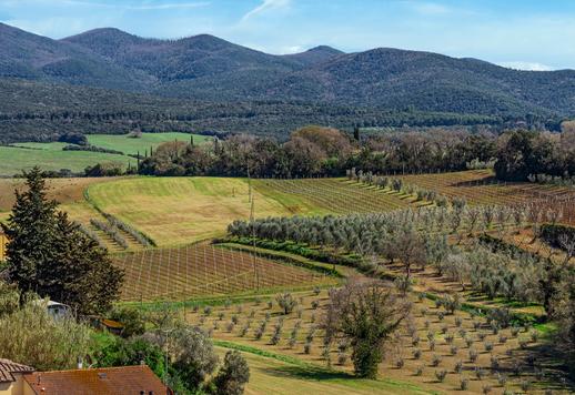Historisk fastighet på 244 kvm i tre plan med fyra sovrum, två badrum och en 60 kvm stor takterrass med en vacker spiraltrappa i smidesjärn Image 7
