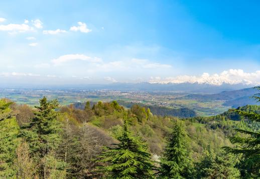 مجمع تاريخي يعود أصله إلى القرن الحادي عشر، أعيد بناؤه في ثلاثينيات القرن العشرين، مساحته 2700 متر مربع موزعة على خمسة مستويات، بالإضافة إلى سبعة هكتارات ونصف من الحدائق الخاصة والغابات Image 6