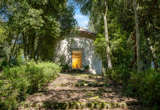 Residenza di mille metri quadri con dieci camere e sei bagni tra due edifici storici, in cinque ettari di parco e bosco privato, dependance e cappella consacrata  Image 8