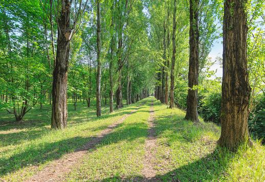 900 kv. m ploto valda, išsidėsčiusi septyniuose pastatuose 26 hektarų parke Image 9