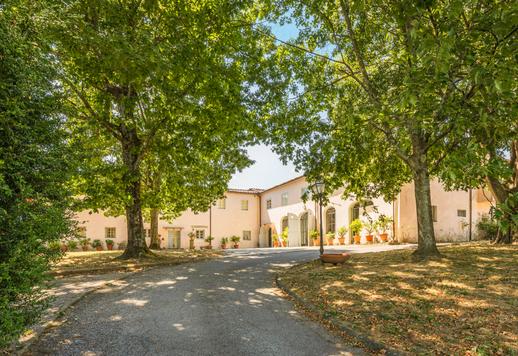 Complesso rurale di circa 1050 mq articolato in due corpi indipendenti con 18 camere e 7 bagni, e 15000 mq di esterni con oliveto di ottanta piante e giardino privato Image 4