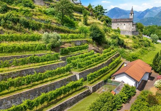 Proprietà di 1100 mq su tre livelli che offre cinque camere e sette bagni con vista mozzafiato sulle vette alpine Image 4