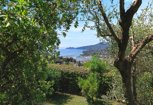 Prestigiosa proprietà di 400 mq in posizione collinare dominante a breve distanza da Portofino e Santa Margherita Ligure Image 6