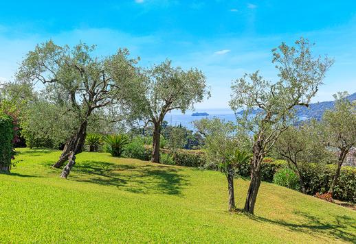 Prestigiosa proprietà di 400 mq in posizione collinare dominante a breve distanza da Portofino e Santa Margherita Ligure Image 7