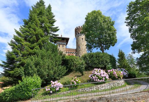 Monumentale propriété d'époque de 1550 m² au total, composée d'un château emblématique, d'une villa de maître, de deux cottages indépendants et de bâtiments annexes Image 3