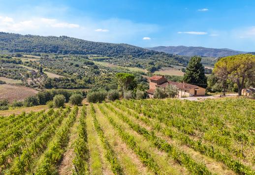 Imposantes Anwesen mit 3624 m² auf zwei Ebenen, 18 Schlafzimmern und 10 Bädern in der prestigeträchtigen Hügel- und Weinlandschaft des Chianti Rufina. Image 6