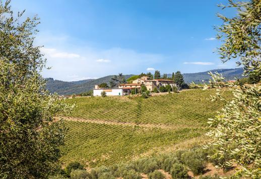 Imposantes Anwesen mit 3624 m² auf zwei Ebenen, 18 Schlafzimmern und 10 Bädern in der prestigeträchtigen Hügel- und Weinlandschaft des Chianti Rufina. Image 7