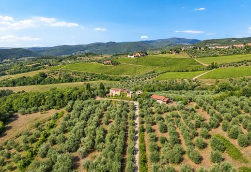 Imposantes Anwesen mit 3624 m² auf zwei Ebenen, 18 Schlafzimmern und 10 Bädern in der prestigeträchtigen Hügel- und Weinlandschaft des Chianti Rufina. Image 2